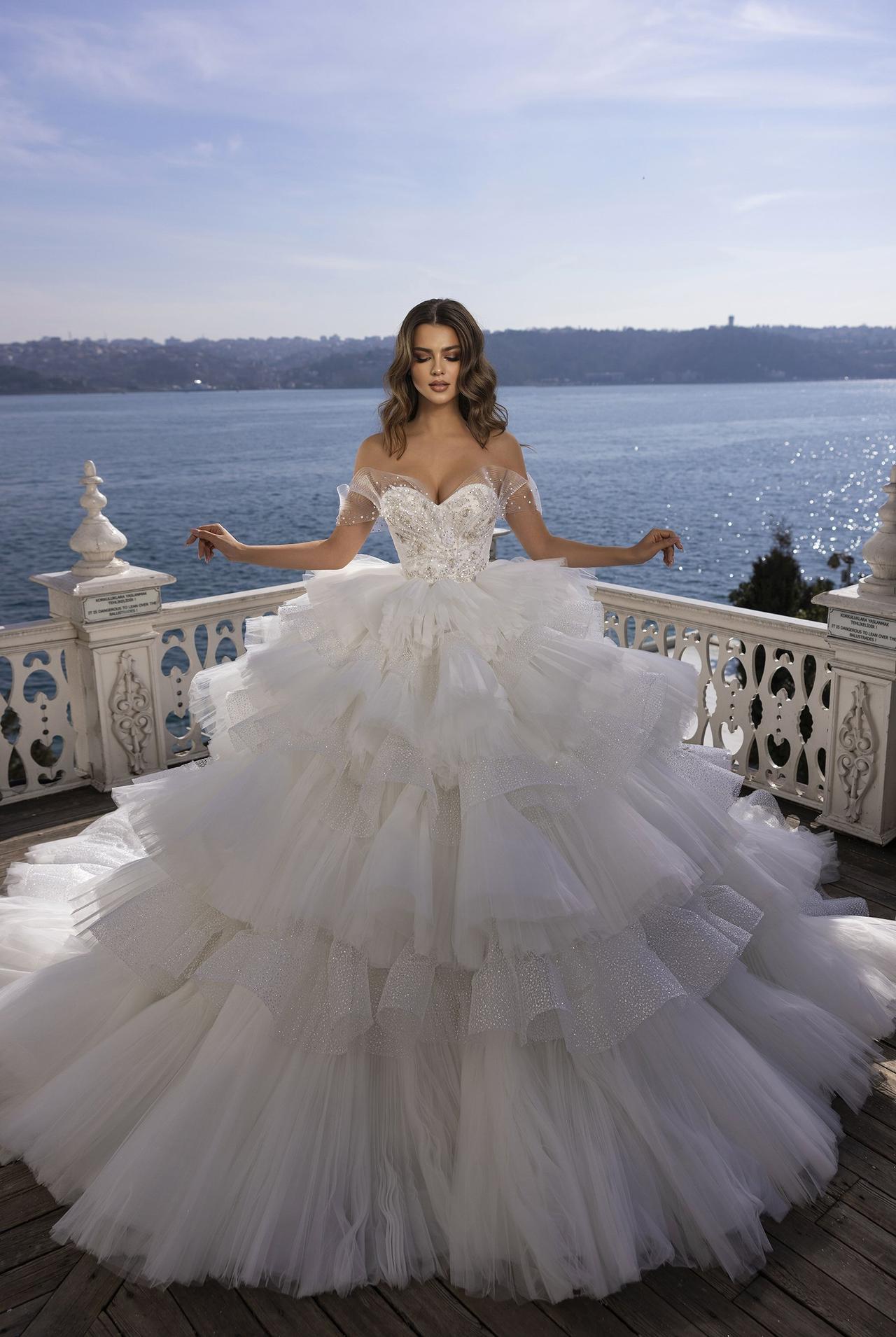 User's blog  Vestidos de noiva de baile, Princesa noiva, Vestidos de  casamento princesa