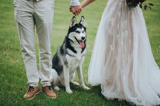 Fotos que não podem faltar no álbum de casamento