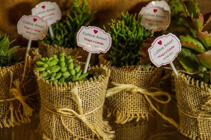 Lembrancinhas ecológicas: um presente para os convidados e para o meio ambiente