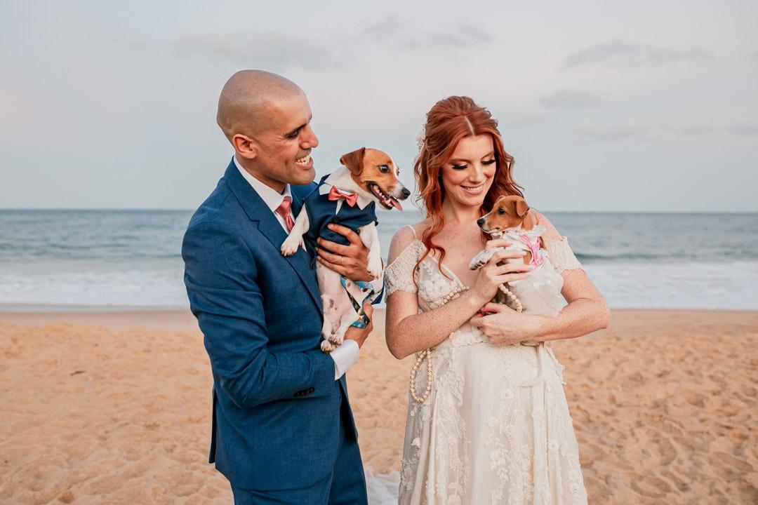 Noivos com seus cachorros no casamento