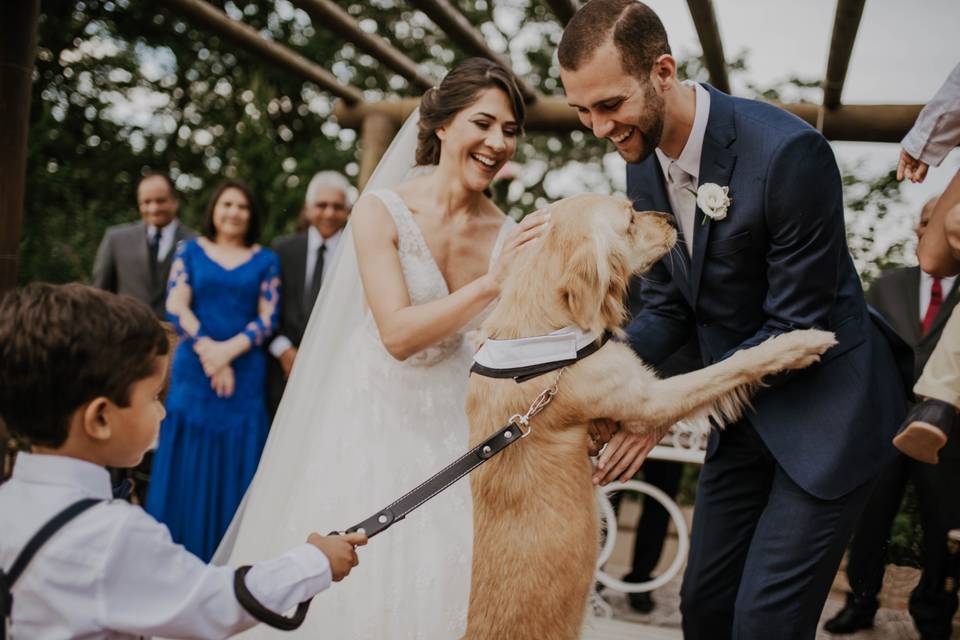 Maneiras originais para o seu pet participar do casamento