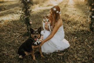 Noiva com cachorros no casamento