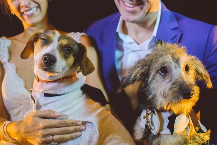 Noivos com seu cachorro no casamento