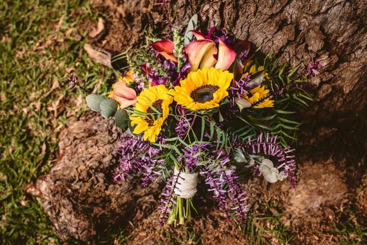 Flores de Provence