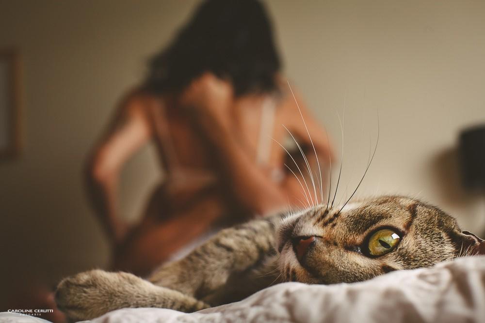 frequência sexual