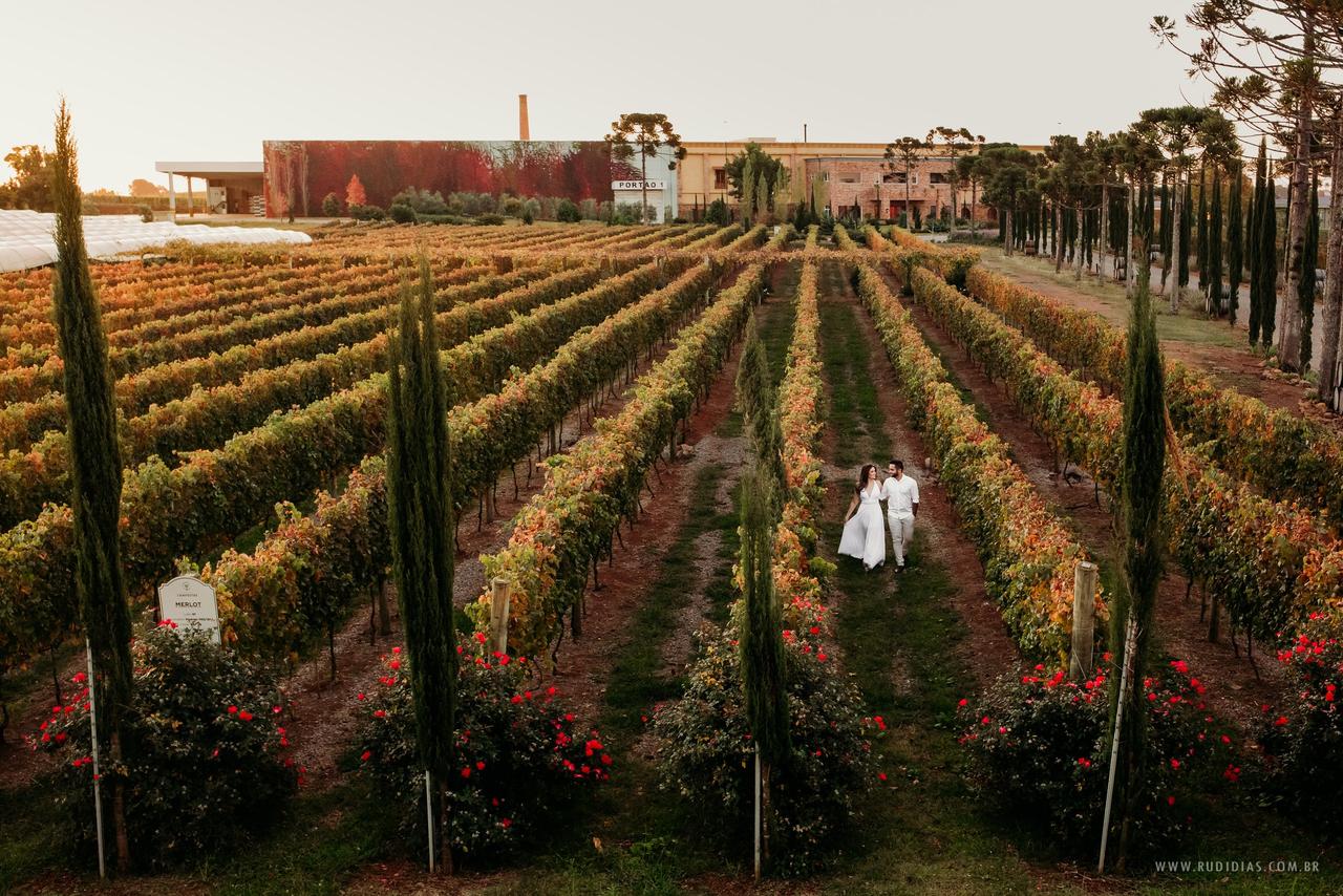 casamento vinicola