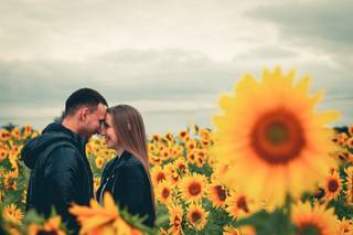 decoração girassol casamento