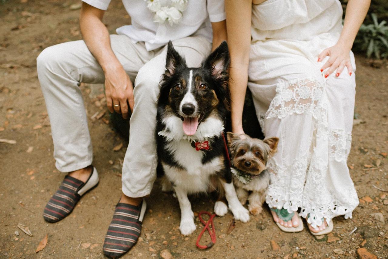 Noivos com seu cachorro no casamento