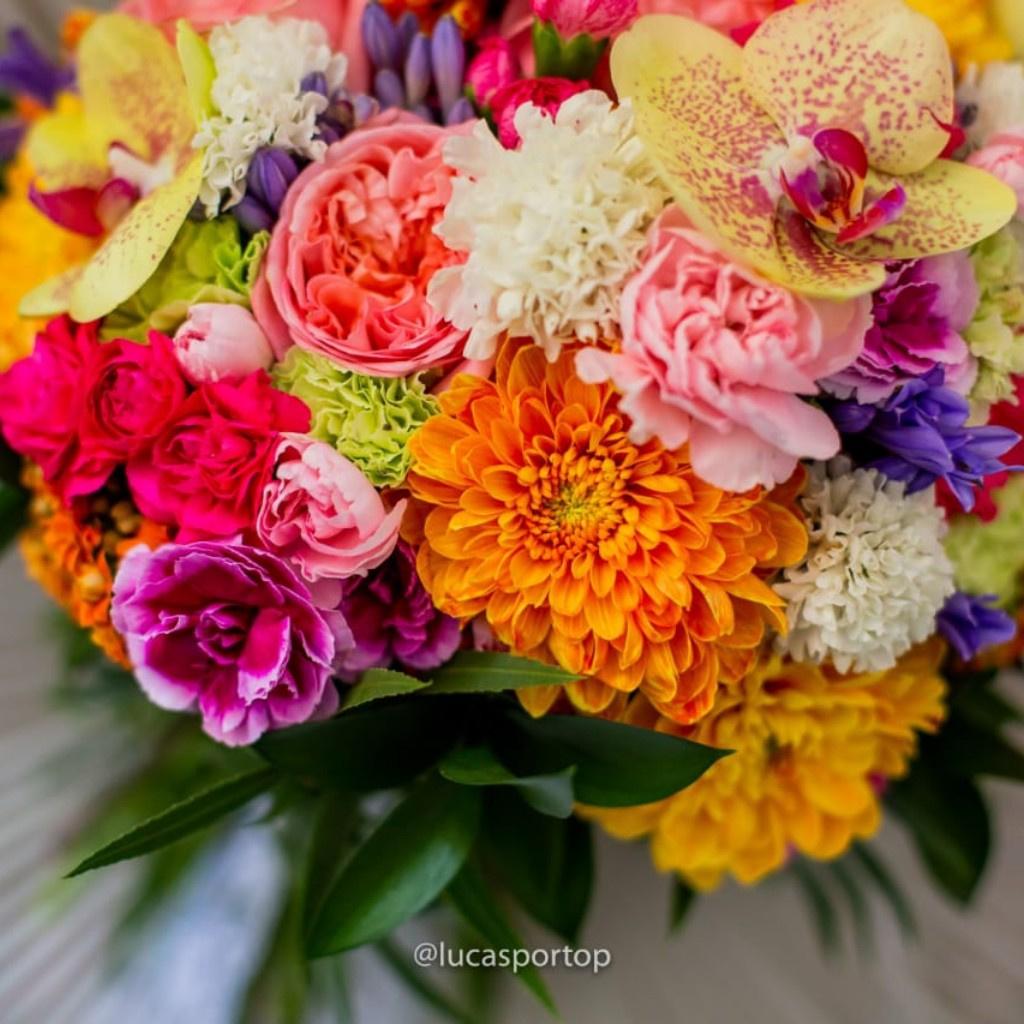 Flores baratas para casamento: as 10 espécies mais belas para o seu dia!