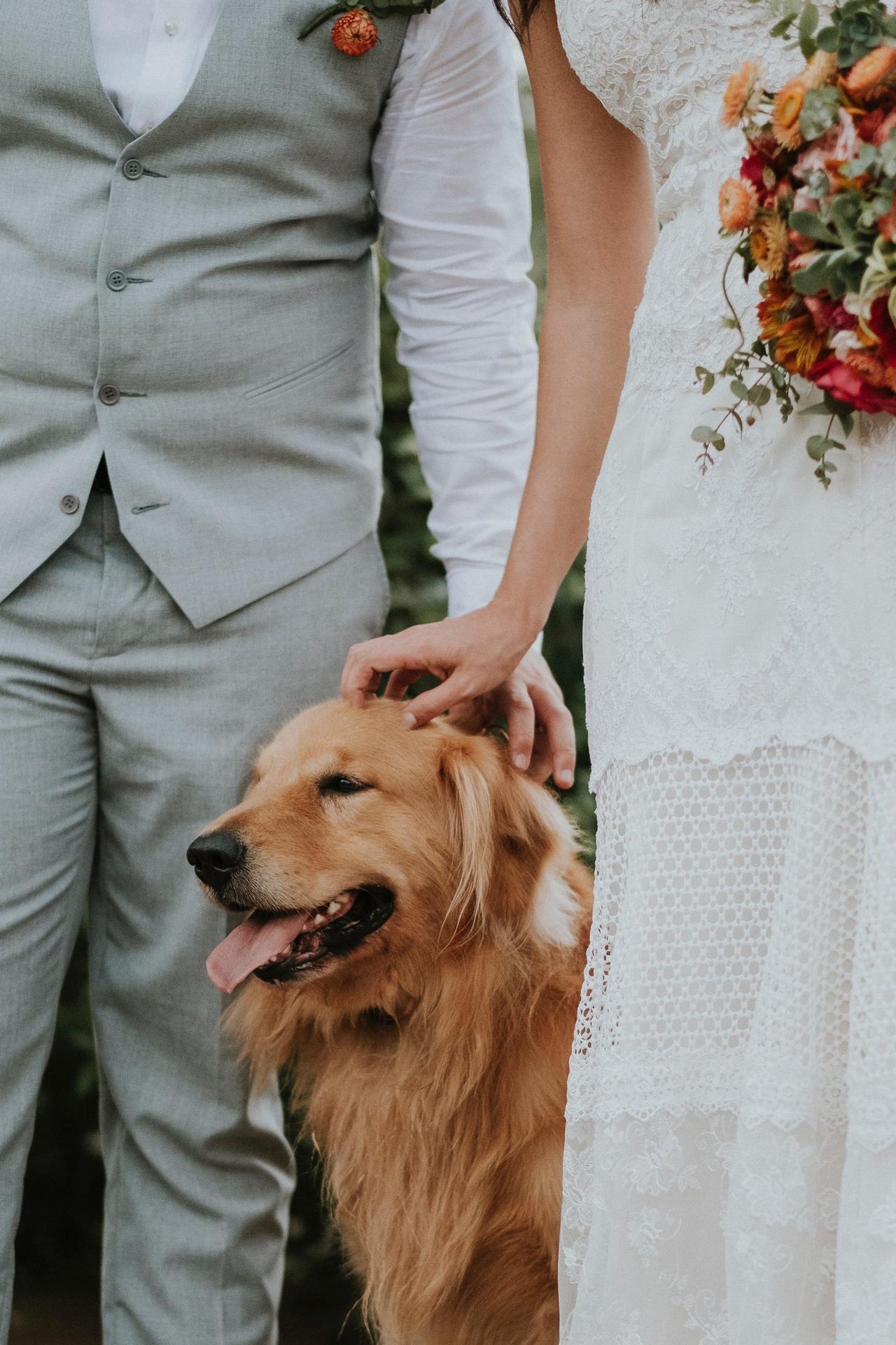 Noivos com seu cachorro no casamento