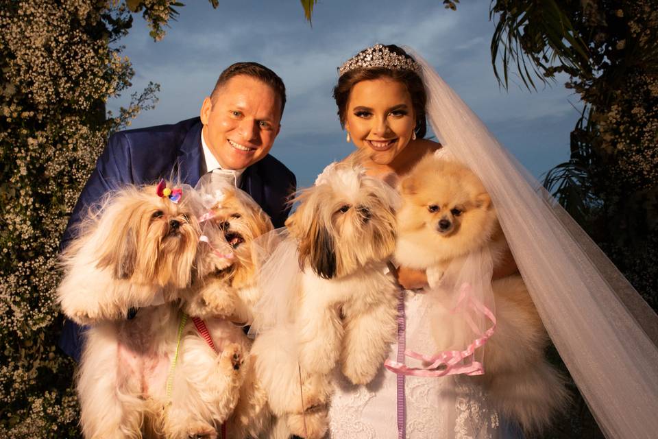 Cachorros no casamento? Sim! 85 fotos e dicas para os convidados especiais e... peludos! 