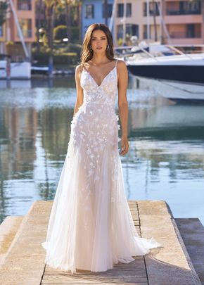 rhapsody, Pronovias