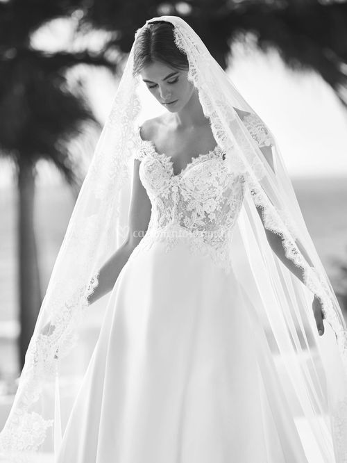 edie, Pronovias