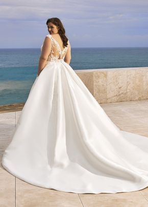 charleston, Pronovias