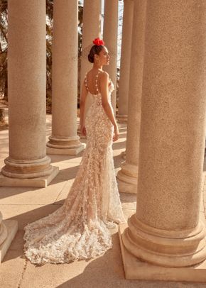 CATALINA, Galia Lahav