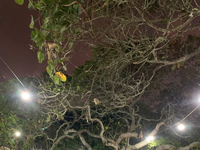 O casamento de Luan e Suélen em Camacan, Bahia 41