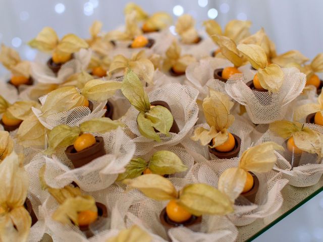 O casamento de Fernando e Telene em Belo Horizonte, Minas Gerais 14