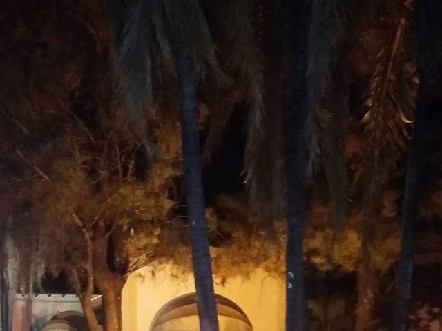 O casamento de Marcos e Erika em São José do Rio Preto, São Paulo Estado 14