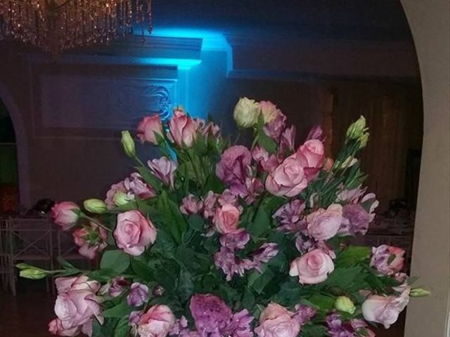 O casamento de Marcos e Erika em São José do Rio Preto, São Paulo Estado 19