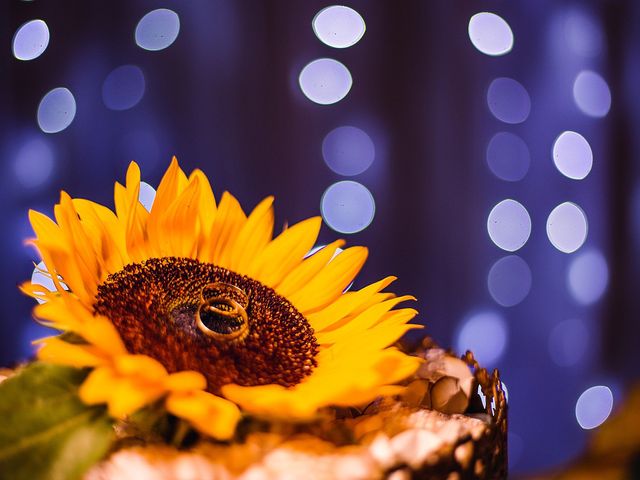 O casamento de Mariane e Vitor em São Joaquim da Barra, São Paulo Estado 51