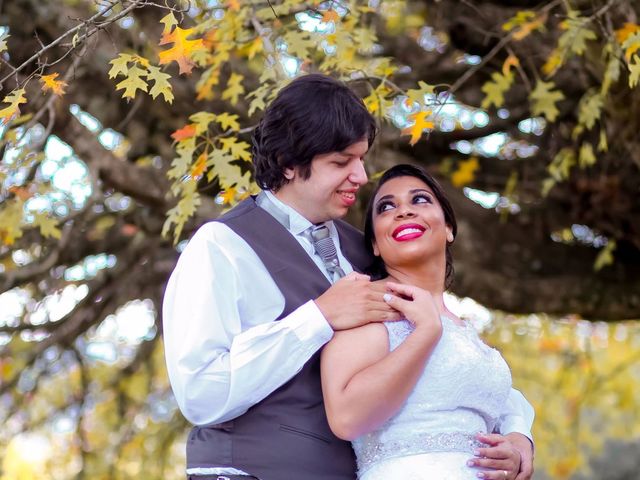 O casamento de Thiago Hubner e Vanessa Elisiário  em Itabira, Minas Gerais 85
