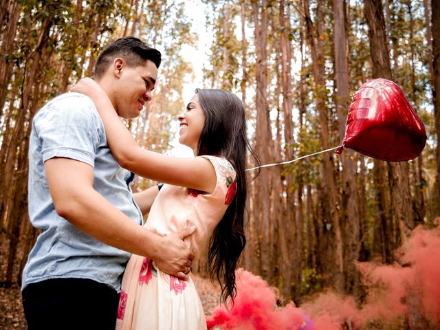 O casamento de Jessé e Sabrina em Campinas, São Paulo Estado 36