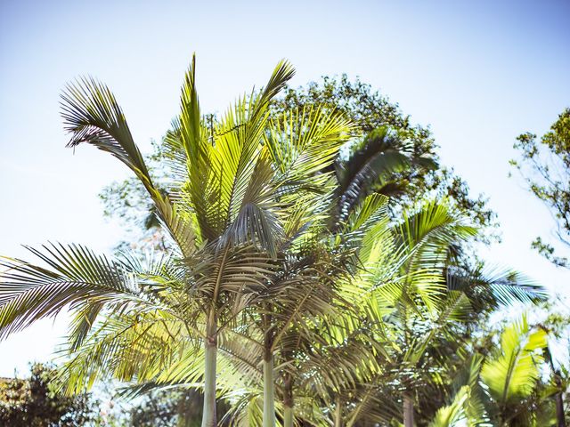 O casamento de Pedro e Marluci em Florianópolis, Santa Catarina 46