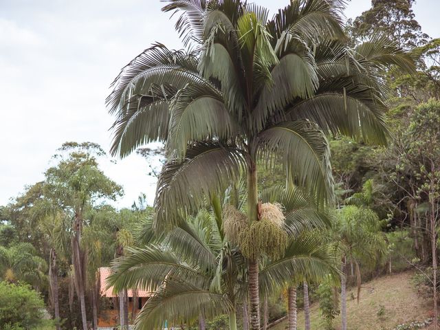 O casamento de Pedro e Marluci em Florianópolis, Santa Catarina 90