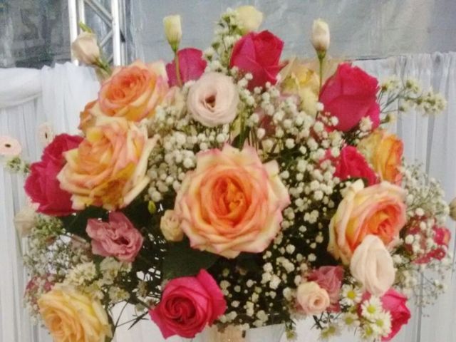 O casamento de Jean e Thaís em Cananéia, São Paulo Estado 14