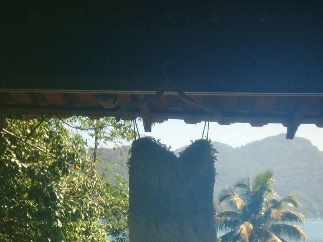 O casamento de Adam e Paula em Ilha Grande, Rio de Janeiro 8