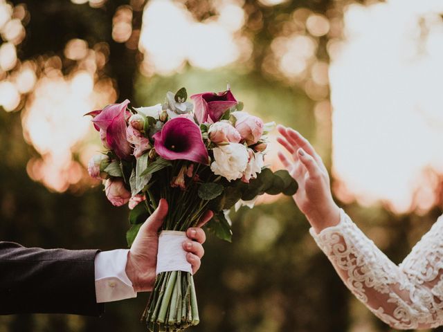 O casamento de Anderson e Aline em Holambra, São Paulo Estado 85