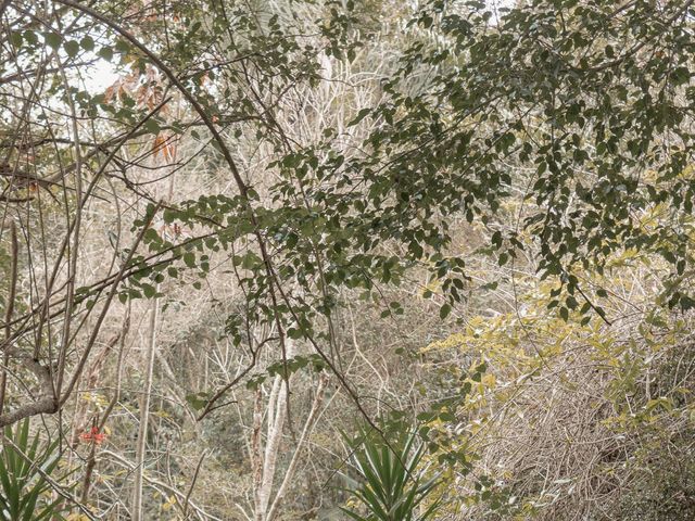 O casamento de Henrique e Beatriz em Itapecerica da Serra, São Paulo 32