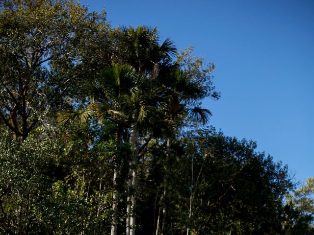 O casamento de Davi e Marilha em Brasília, Distrito Federal 5