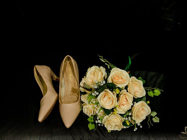 O casamento de Wilson Junior e Pollyanna em Guará, São Paulo Estado 9