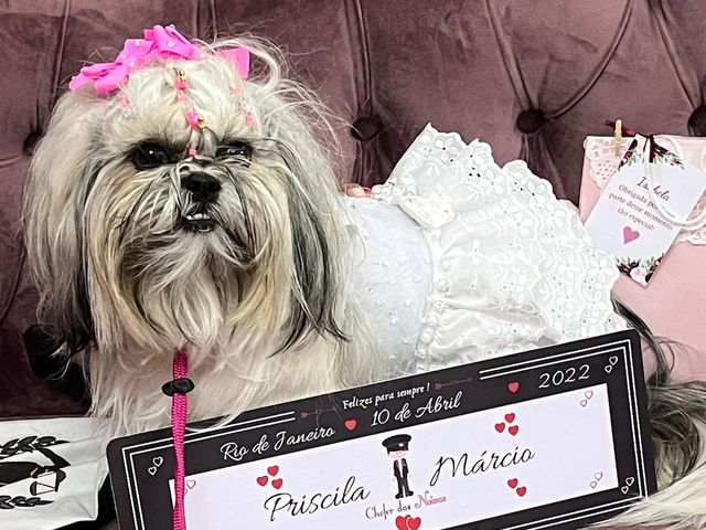 O casamento de Márcio  e Priscila  em Rio de Janeiro, Rio de Janeiro 4