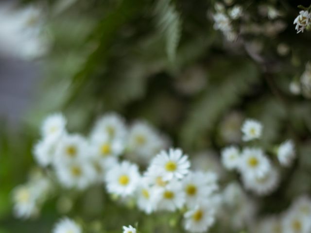 O casamento de Luiz Henrique e Brendha em Florianópolis, Santa Catarina 28