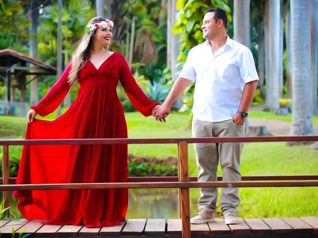 O casamento de Dênis e Michele em Inhumas, Goiás 5