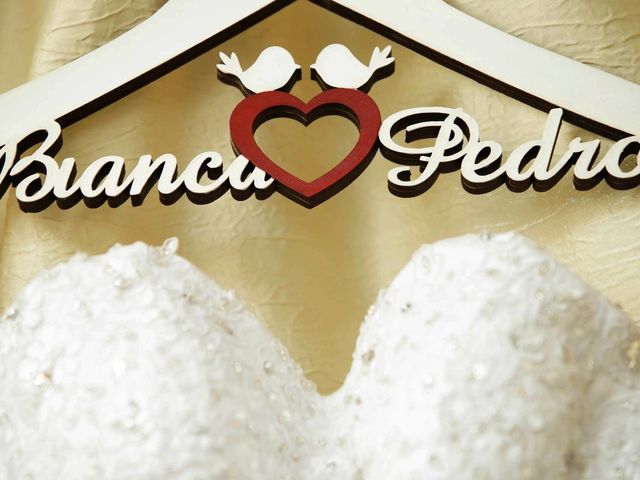 O casamento de Pedro e Bianca em Ribeirão Pires, São Paulo Estado 11
