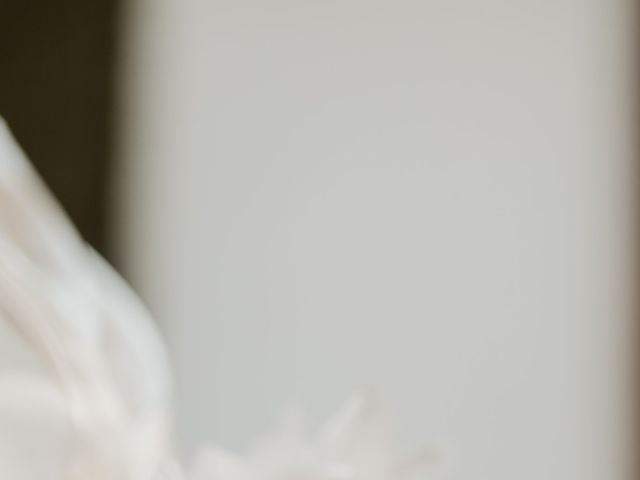 O casamento de Jeferson e Aline em Blumenau, Santa Catarina 6