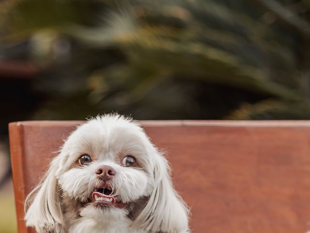 O casamento de Jeferson e Aline em Blumenau, Santa Catarina 80