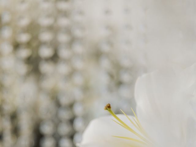 O casamento de Jeferson e Aline em Blumenau, Santa Catarina 286