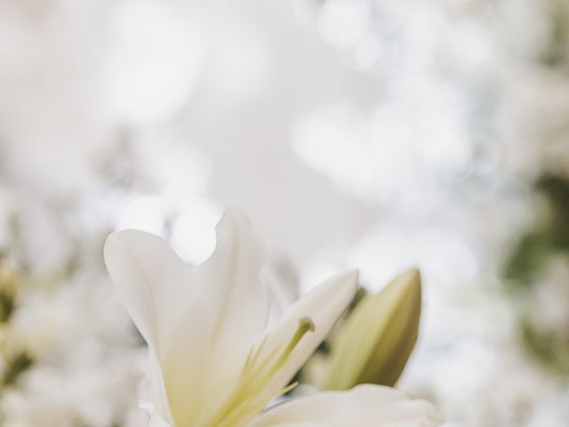 O casamento de Jeferson e Aline em Blumenau, Santa Catarina 296