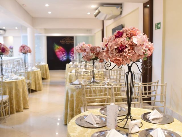O casamento de Jonatha e Elaine em Aricanduva, São Paulo 9