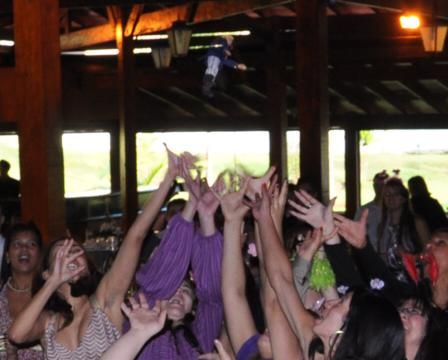 O casamento de Leandro e Aline em Mairiporã, São Paulo Estado 206