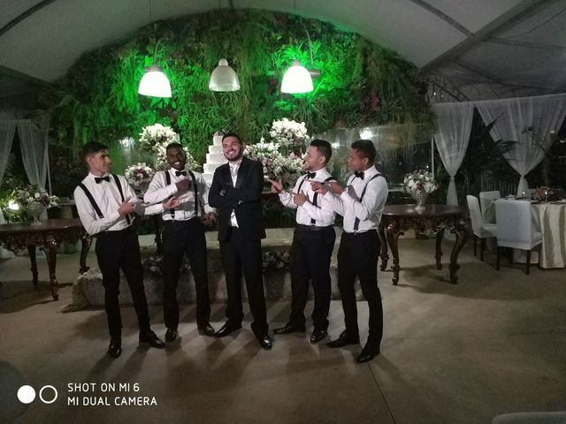 O casamento de Luiz Fernando e Simey em Goiânia, Goiás 37