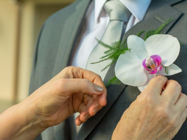 O casamento de Guilherme e Vanessa em Holambra, São Paulo Estado 8