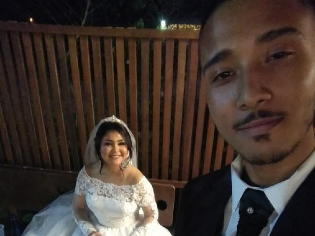 O casamento de Mauricio e Stefanni em Nova Odessa, São Paulo Estado 5