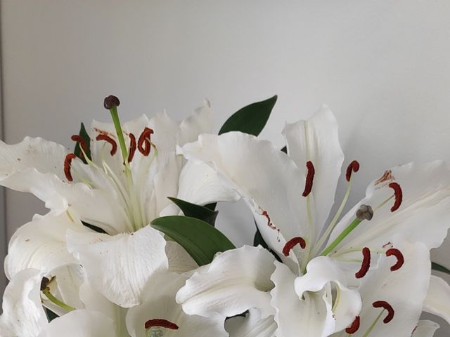 O casamento de Cleber e Natalia  em Florianópolis, Santa Catarina 4