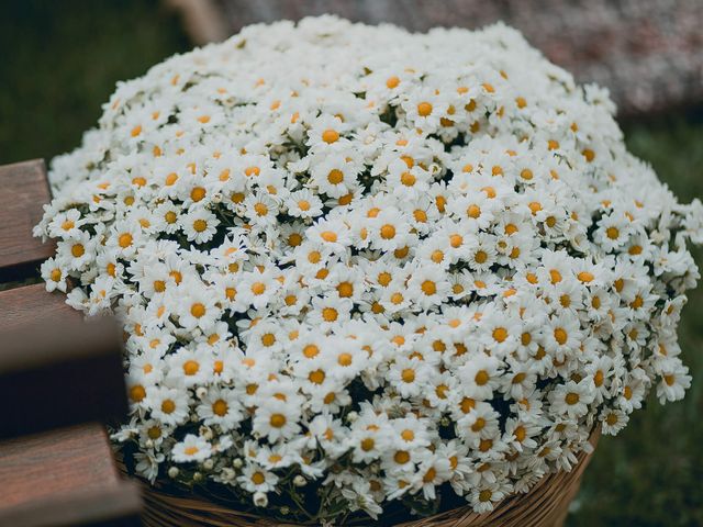 O casamento de Joao e Patricia em Louveira, São Paulo Estado 22