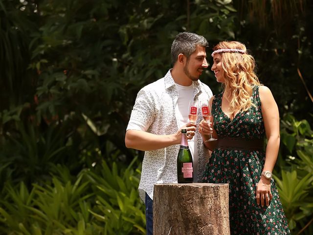 O casamento de Helder e Irys em Goiânia, Goiás 73